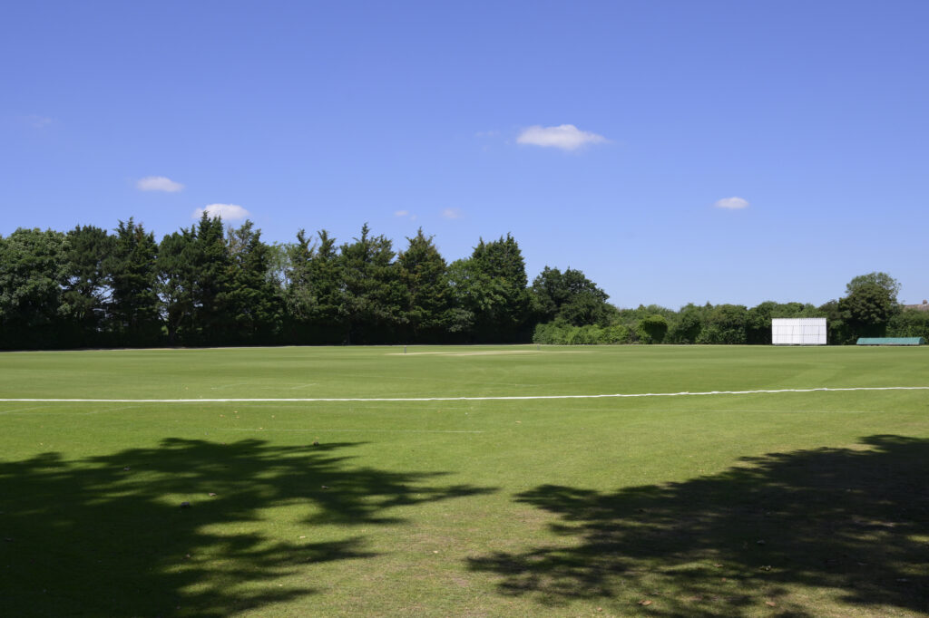 Large outdoor cricket pitch. Immaculate grass. Trees around the edge.